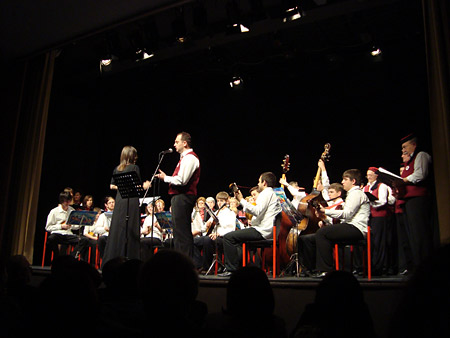 koncert Vidra 2011